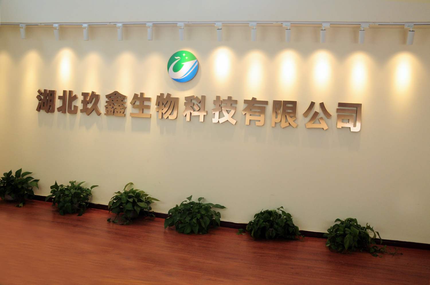 公司简介(图1)