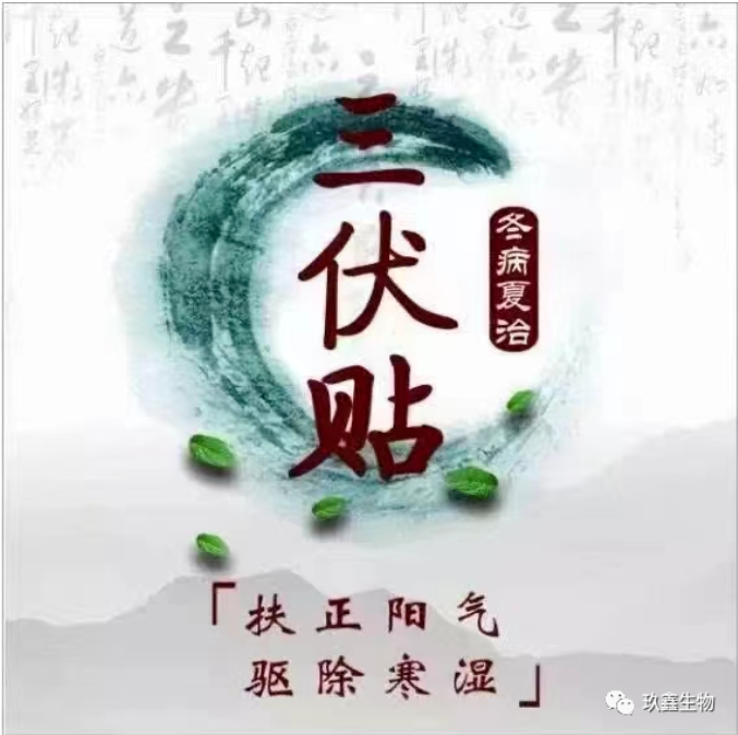 相约玖鑫三伏贴，冬病夏治正当时！全城钜惠促销火热预约中...