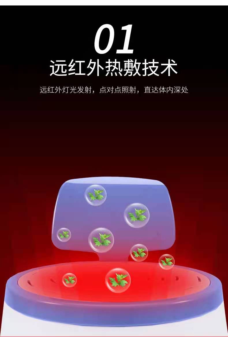 艾灸仪(图2)