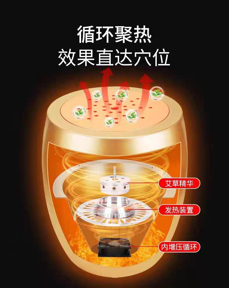 艾灸仪(图4)